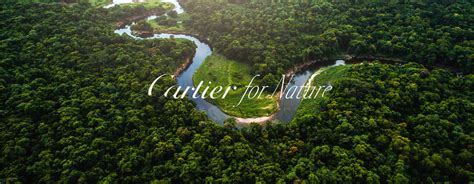 cartier for nature|Cartier for nature website.